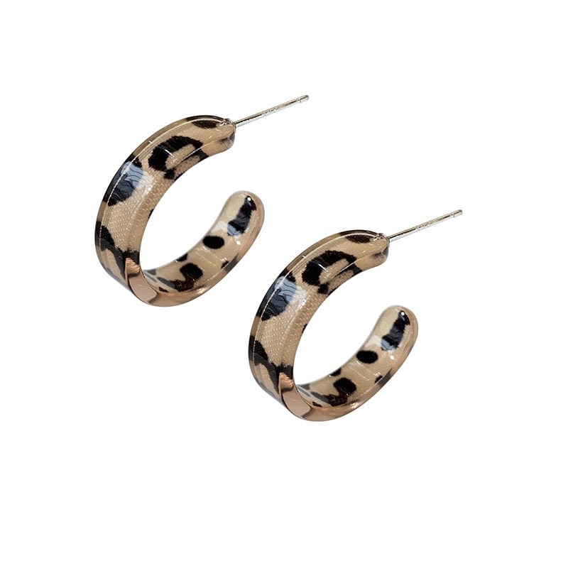 shop with crypto buy Autumn And Winter S925 Leopard Print Earrings Korea INS Geometric Resin Earrings 2020 New Fashion Jewelry Women pay with bitcoin
