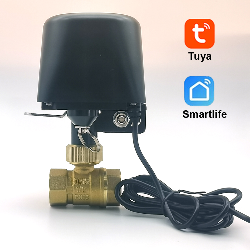 Tuya Zigbee WIFI Smart Water Valve DN15 DN20 DN25 Home Automation Control Faucet Timer Support Alexa Google Assistant Smart Life
