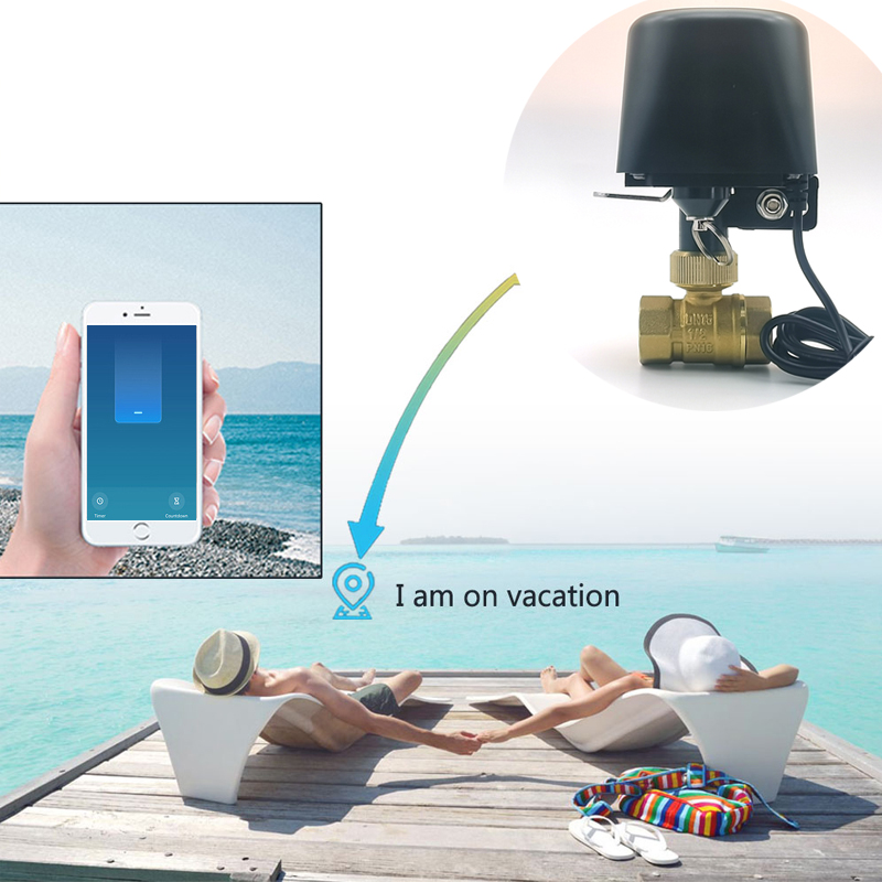 Tuya Zigbee WIFI Smart Water Valve DN15 DN20 DN25 Home Automation Control Faucet Timer Support Alexa Google Assistant Smart Life - Image 4