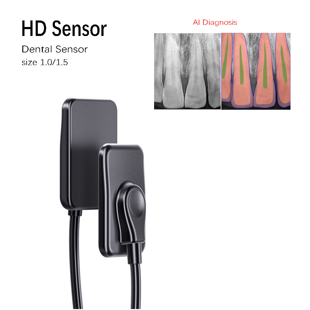 AI Diagnosis Dental Sensor X-Ray Sensor Digital Intraoral System Intra-Oral with Software 3m Cable Dyn Image  Fast Transmit