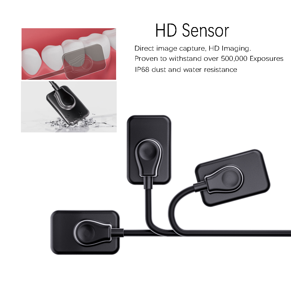 AI Diagnosis Dental Sensor X-Ray Sensor Digital Intraoral System Intra-Oral with Software 3m Cable Dyn Image  Fast Transmit - Image 3