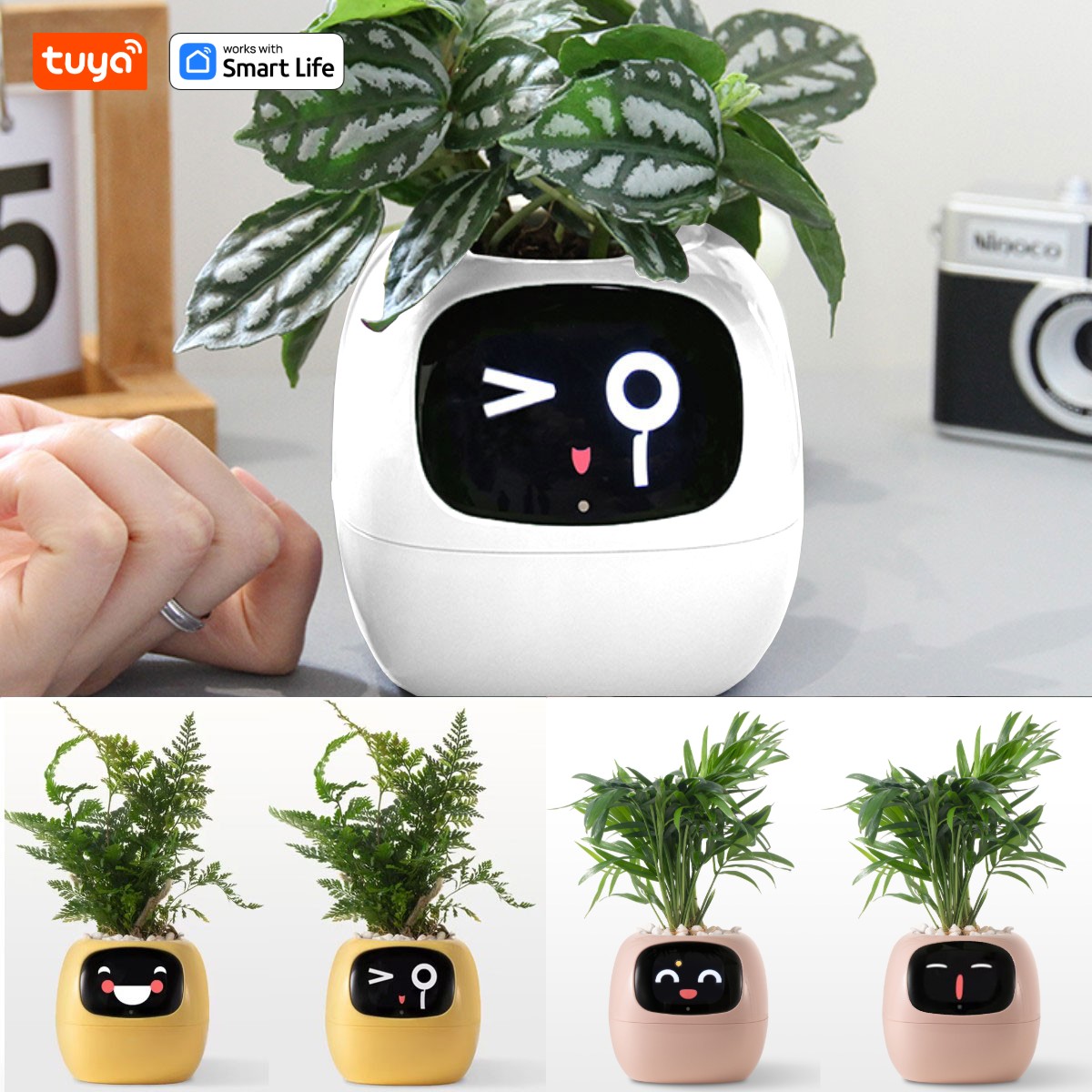 Gen1 Tuya lvy Plant care, made effortless, Al Plant Faces -See Feelings, Fix Needs  5 Interactive Gestures Unlock Playful Life