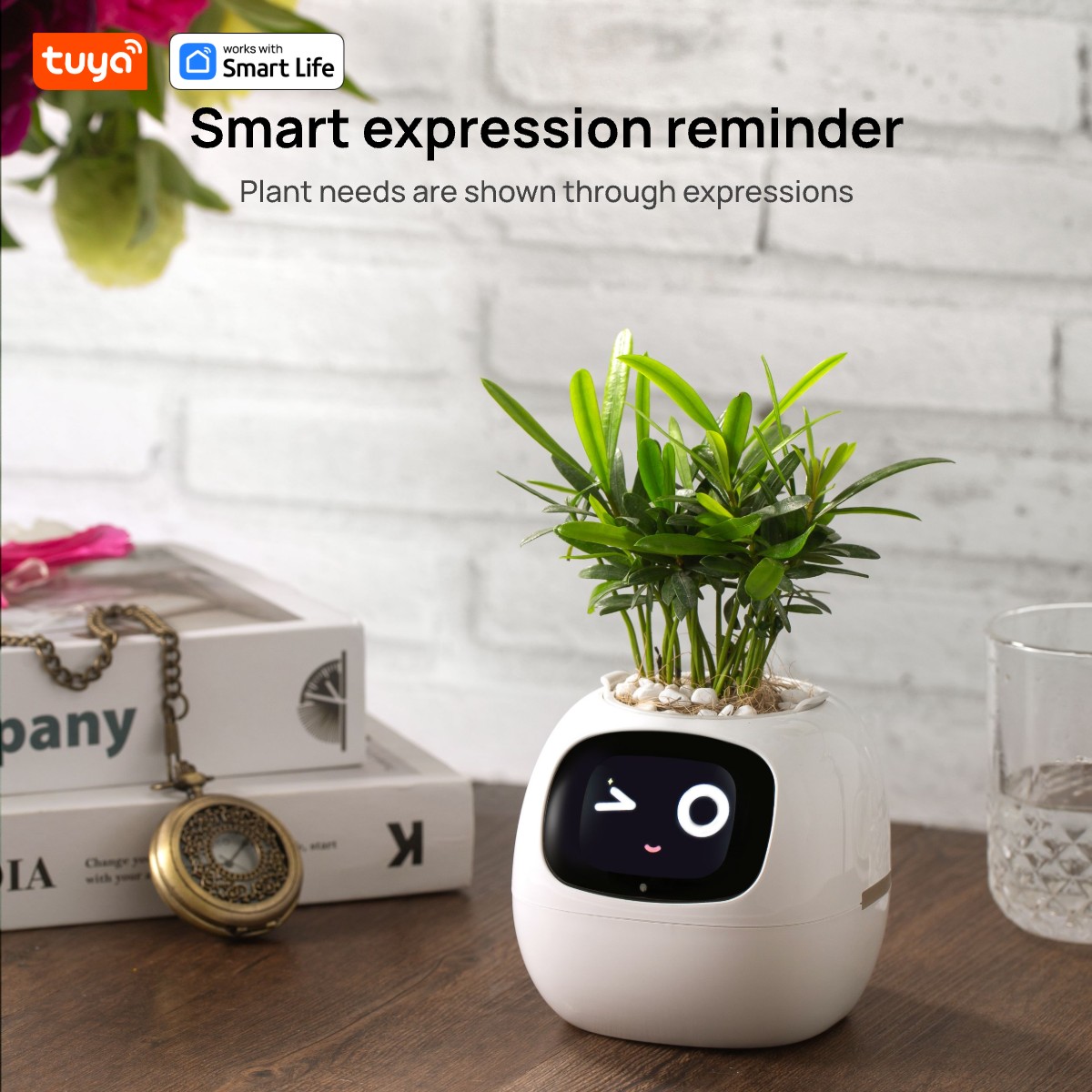 Gen1 Tuya lvy Plant care, made effortless, Al Plant Faces -See Feelings, Fix Needs  5 Interactive Gestures Unlock Playful Life - Image 4