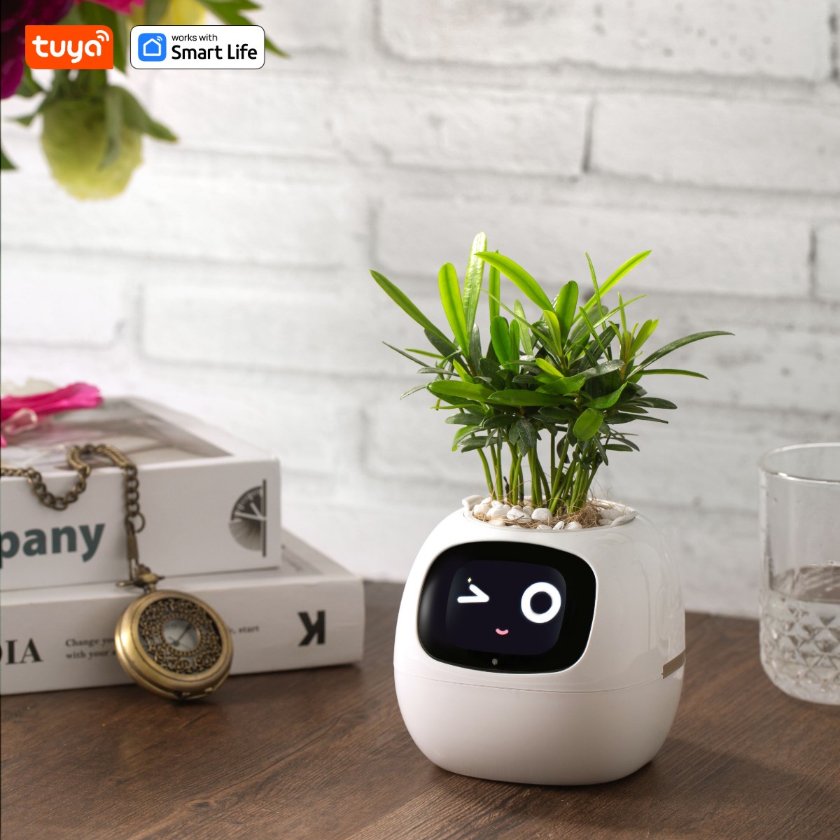 Gen1 Tuya lvy Plant care, made effortless, Al Plant Faces -See Feelings, Fix Needs  5 Interactive Gestures Unlock Playful Life - Image 6