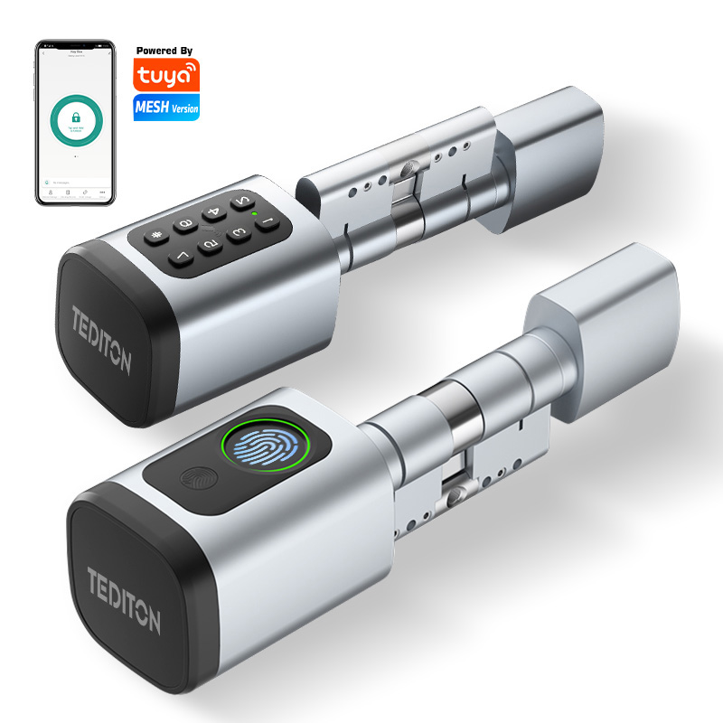 Euro TT Lock APP Fingerprint or Code Password Digital RFID Card Cylinder Smart Door Lock Electronic with Alexa Google Home