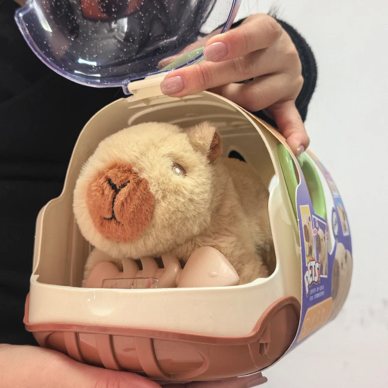 Electric  Walking Doll Toy With Sound Children